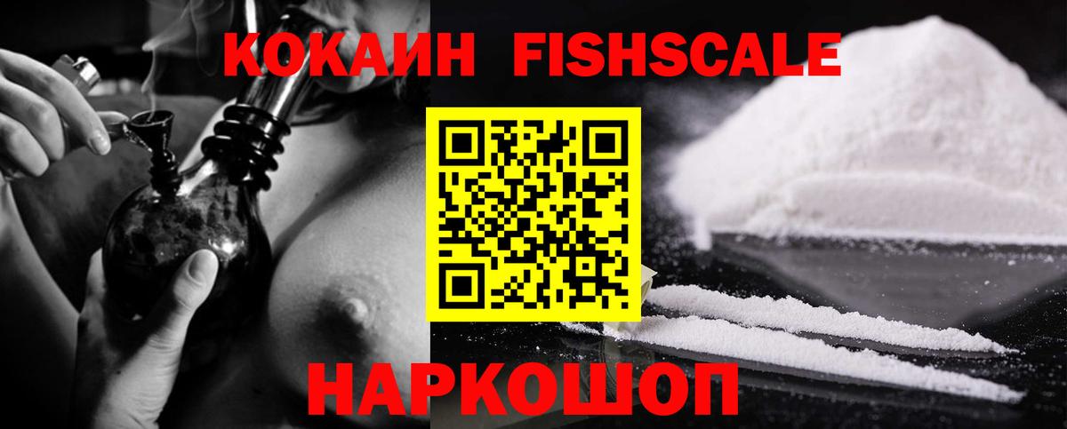 наркотики  COCAIN FishScale  Вход с VPN  КОКАИН Эквадор  Заводоуковск  КОКАИН 