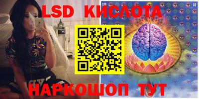 индика Бийск