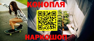 индика Бийск
