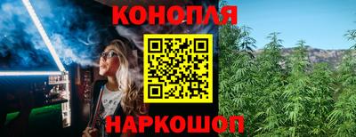 индика Бийск