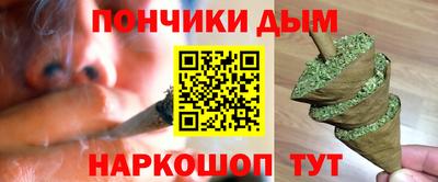 индика Бийск