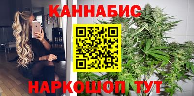 индика Бийск