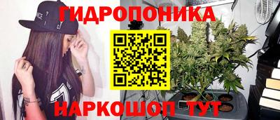 индика Бийск