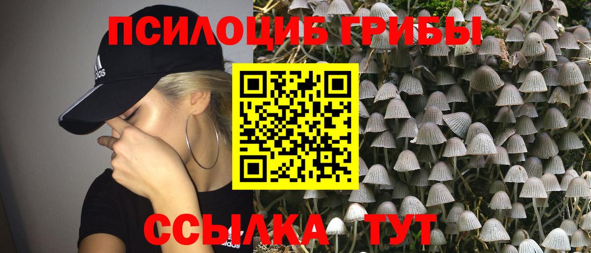 Галлюциногенные грибы прущие грибы  Галлюциногенные грибы Cubensis  Заводоуковск  Вход с VPN 